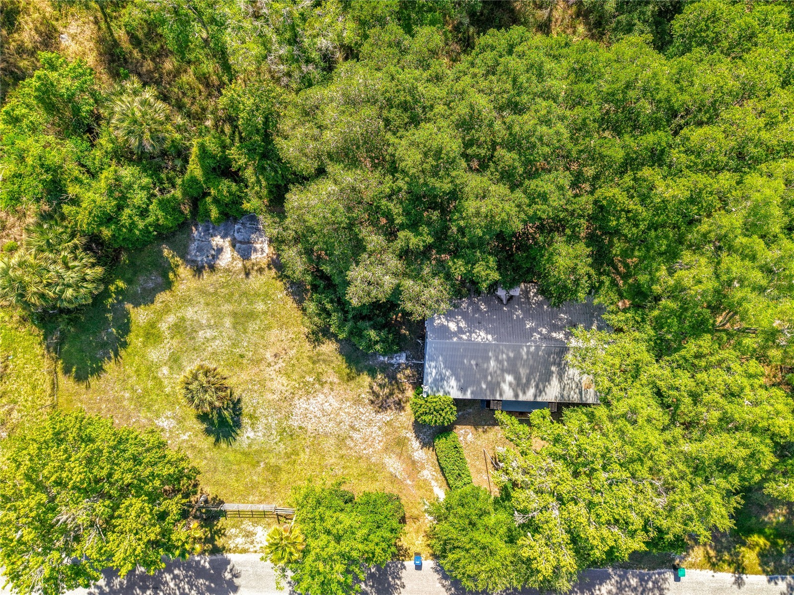 1338 Saint Nicholas Avenue Christmas FL 32709 L4961798 image41
