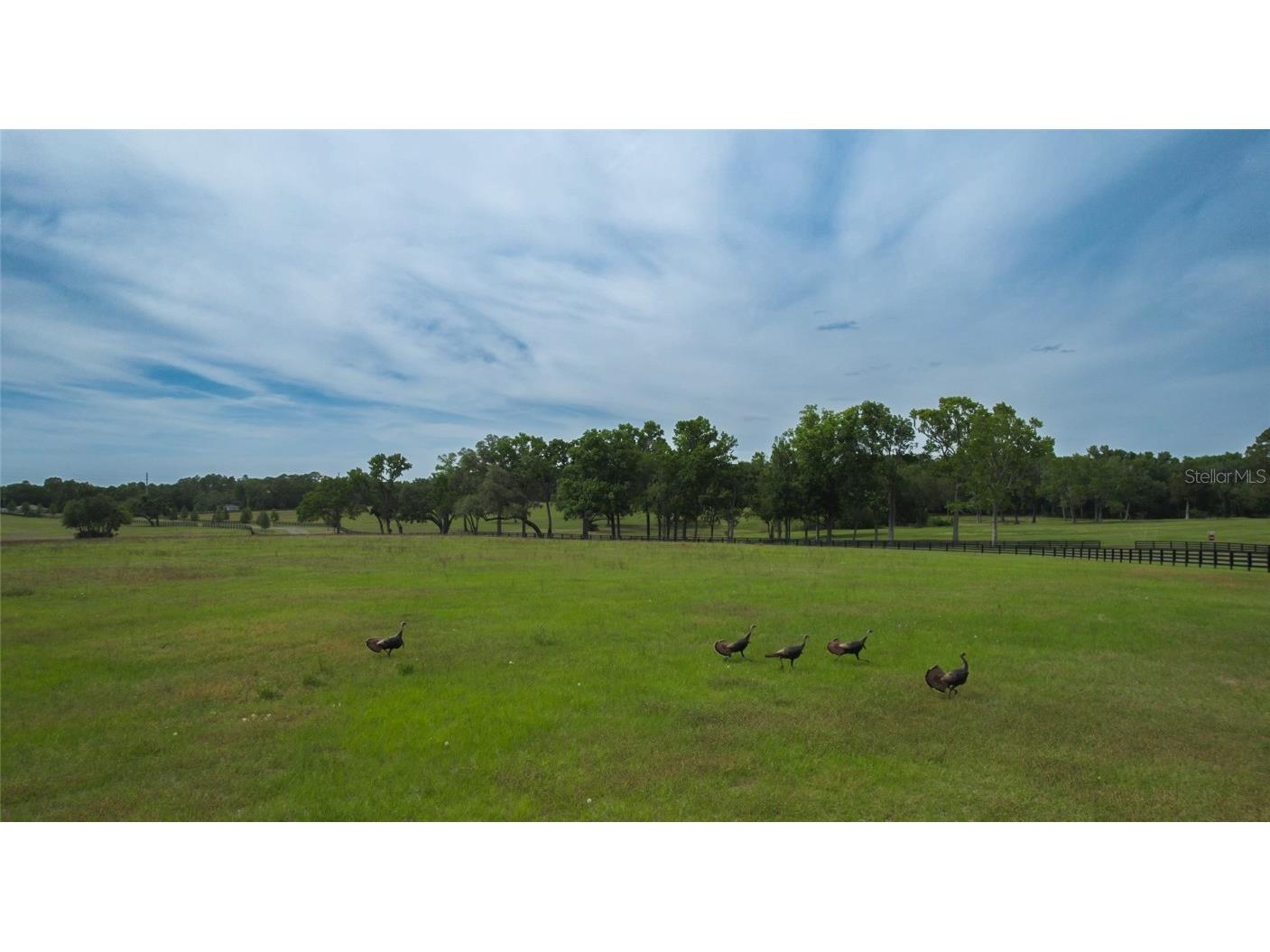 13381 W Hwy 40 (Lot 15) Ocala FL 34481 OM704166 image6