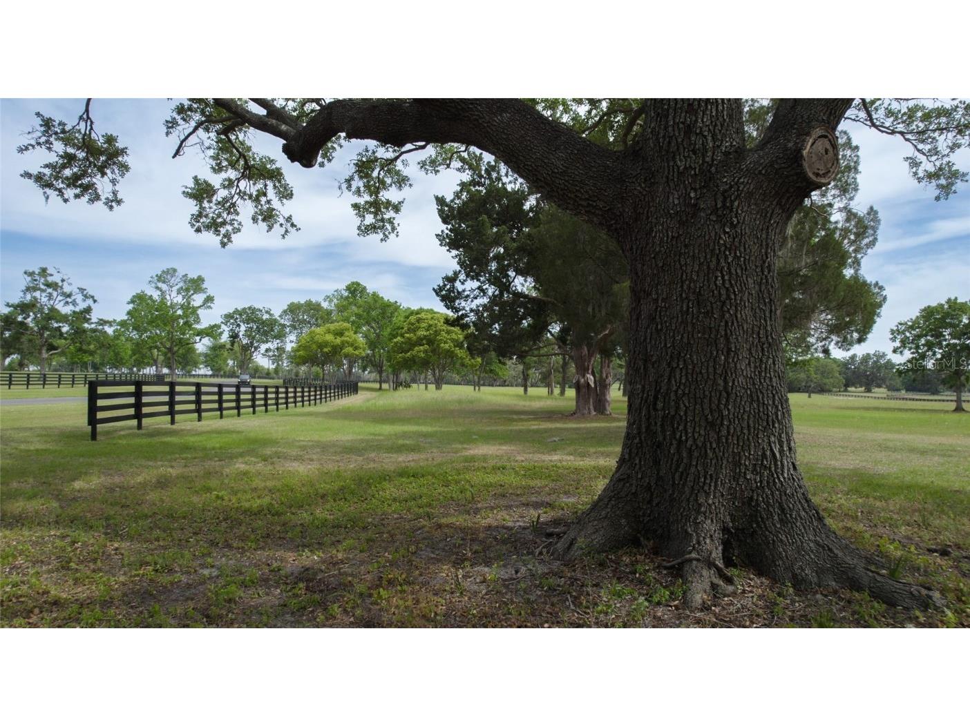 13381 W Hwy 40 (Lot 5) Ocala FL 34481 OM704152 image7