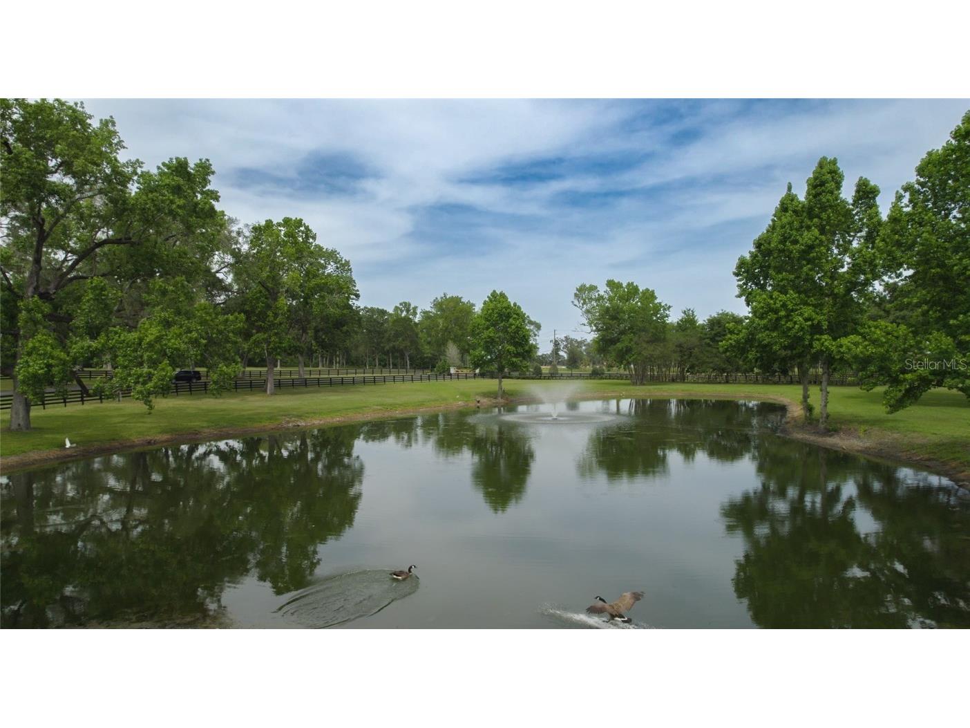 13381 W Hwy 40 (Lot 6) Ocala FL 34481 OM704153 image3