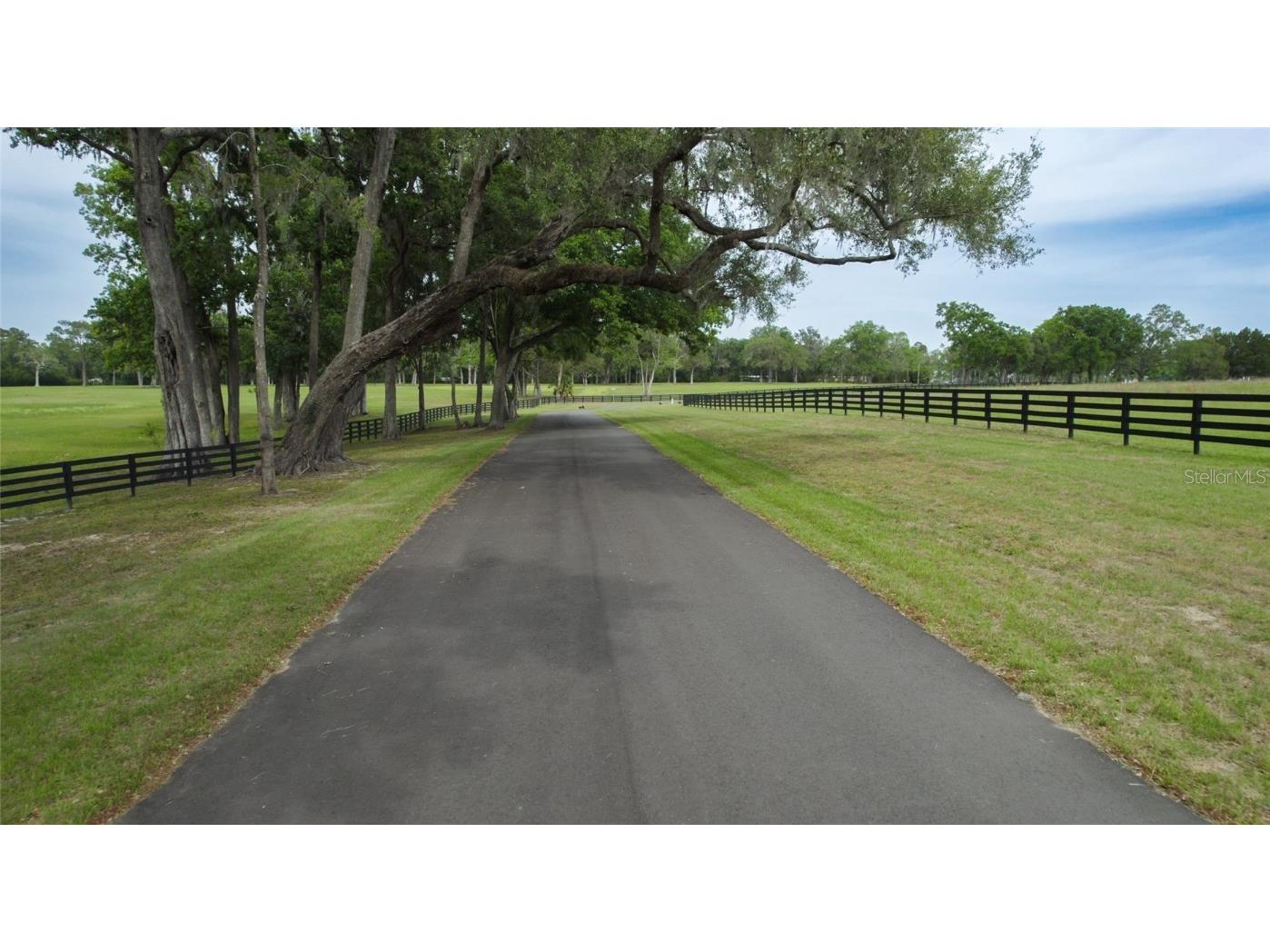 13381 W Hwy 40 (Lot 7) Ocala FL 34481 OM704155 image16