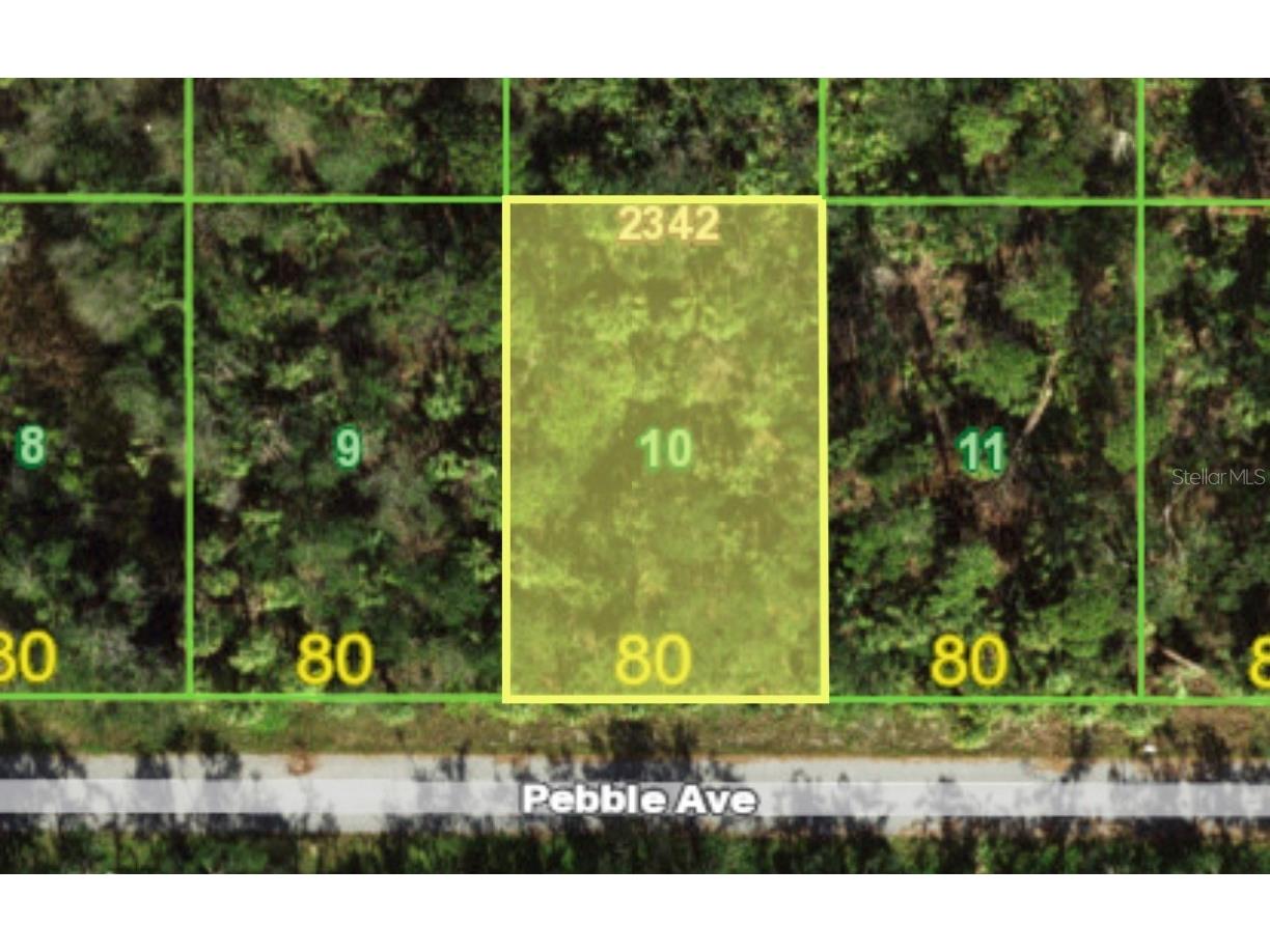 13382 Pebble Avenue Port Charlotte FL 33953 O6286438 image1