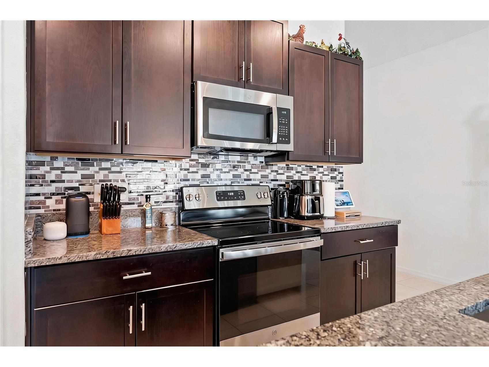 13383 Great Plains Drive Riverview FL 33579 A4690995 image7