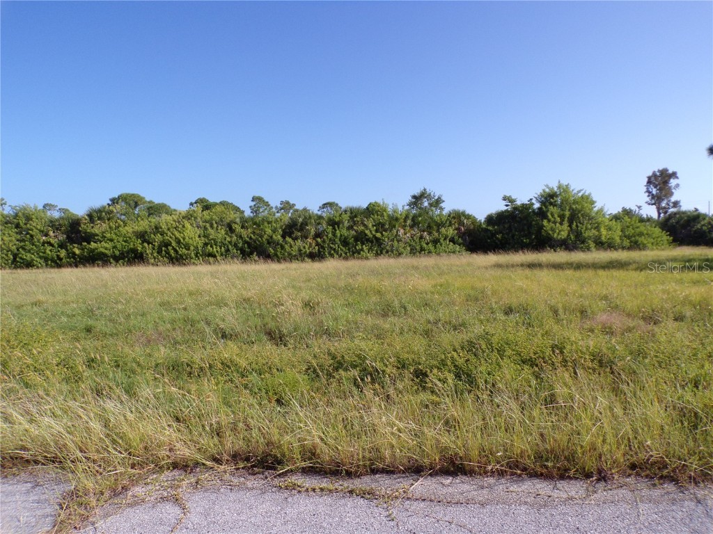 13384 Alewife Lane Placida FL 33946 C7516032 image1