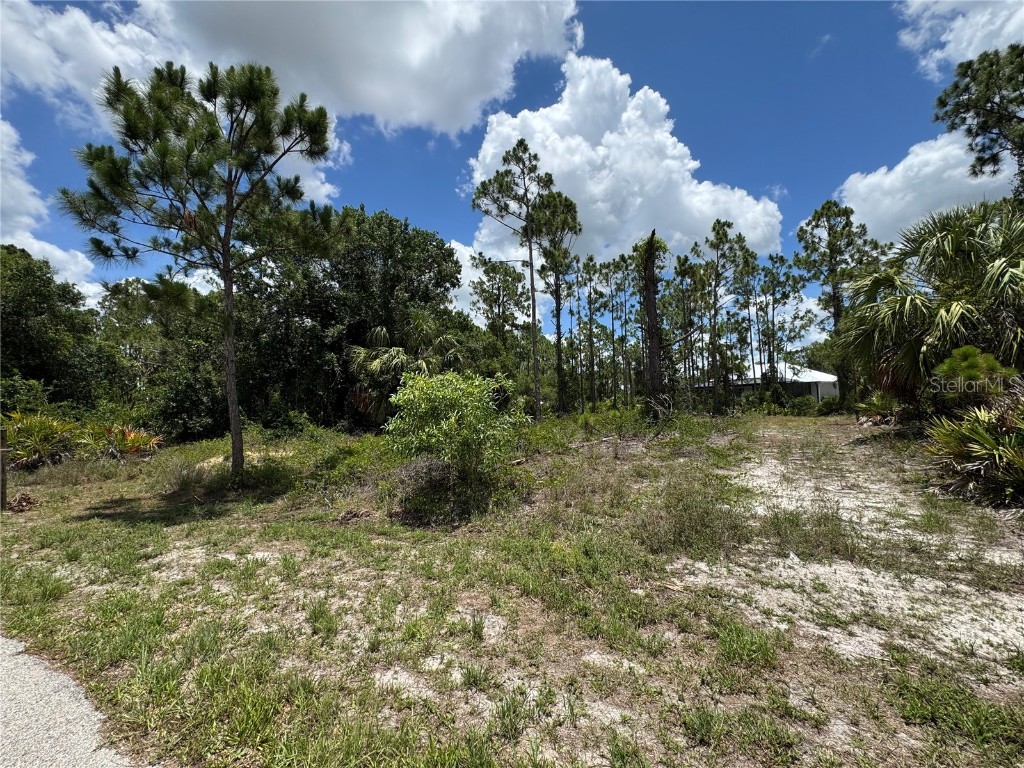 13384 Sulky Drive Punta Gorda FL 33955 C7511131 image1