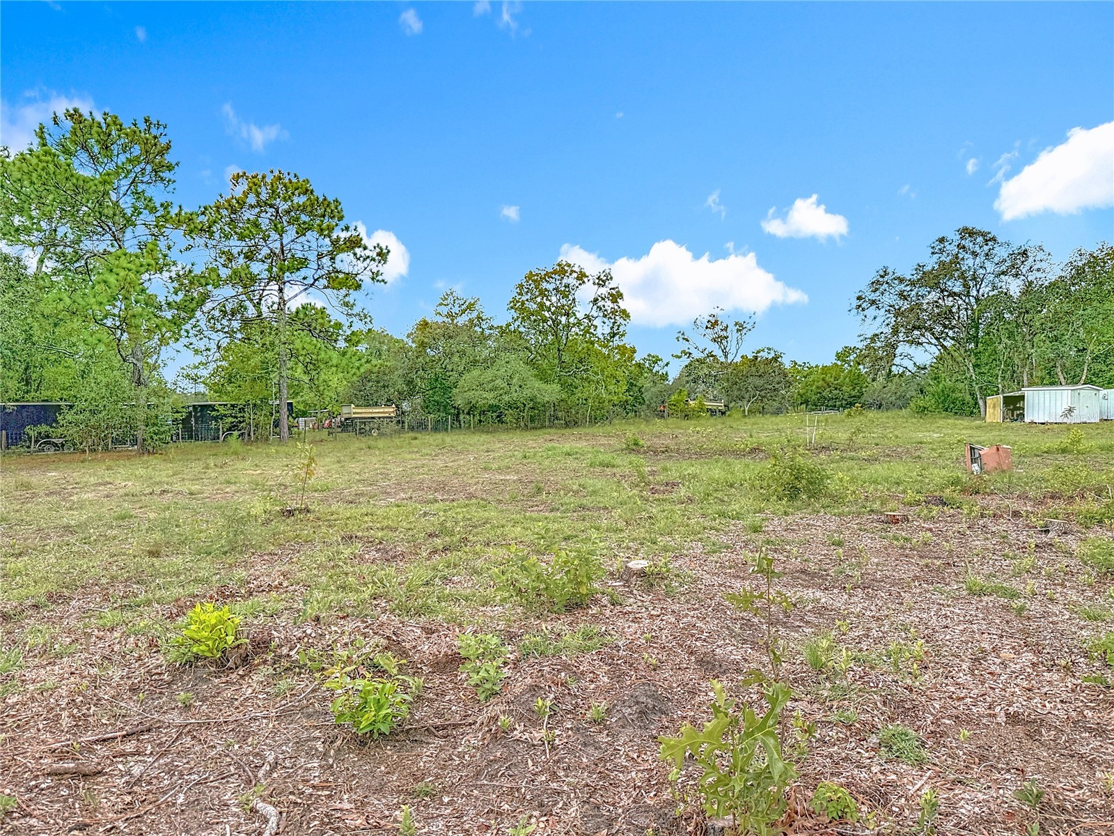 13386 Taylor Street Brooksville FL 34613 TB8461715 image64