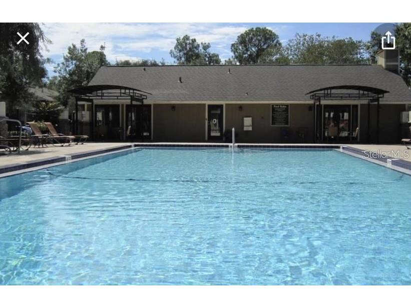 13387 Arbor Pointe Circle #204 Tampa FL 33617 TB8423457 image16