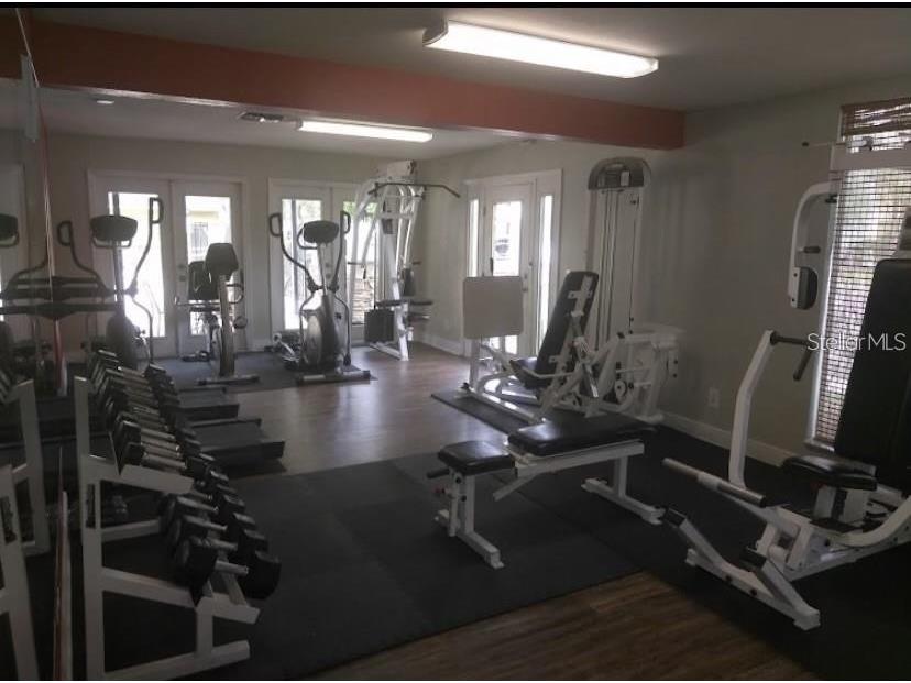 13387 Arbor Pointe Circle #204 Tampa FL 33617 TB8423457 image17