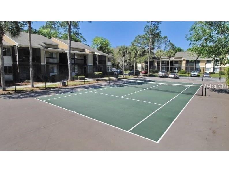 13387 Arbor Pointe Circle #204 Tampa FL 33617 TB8423457 image18