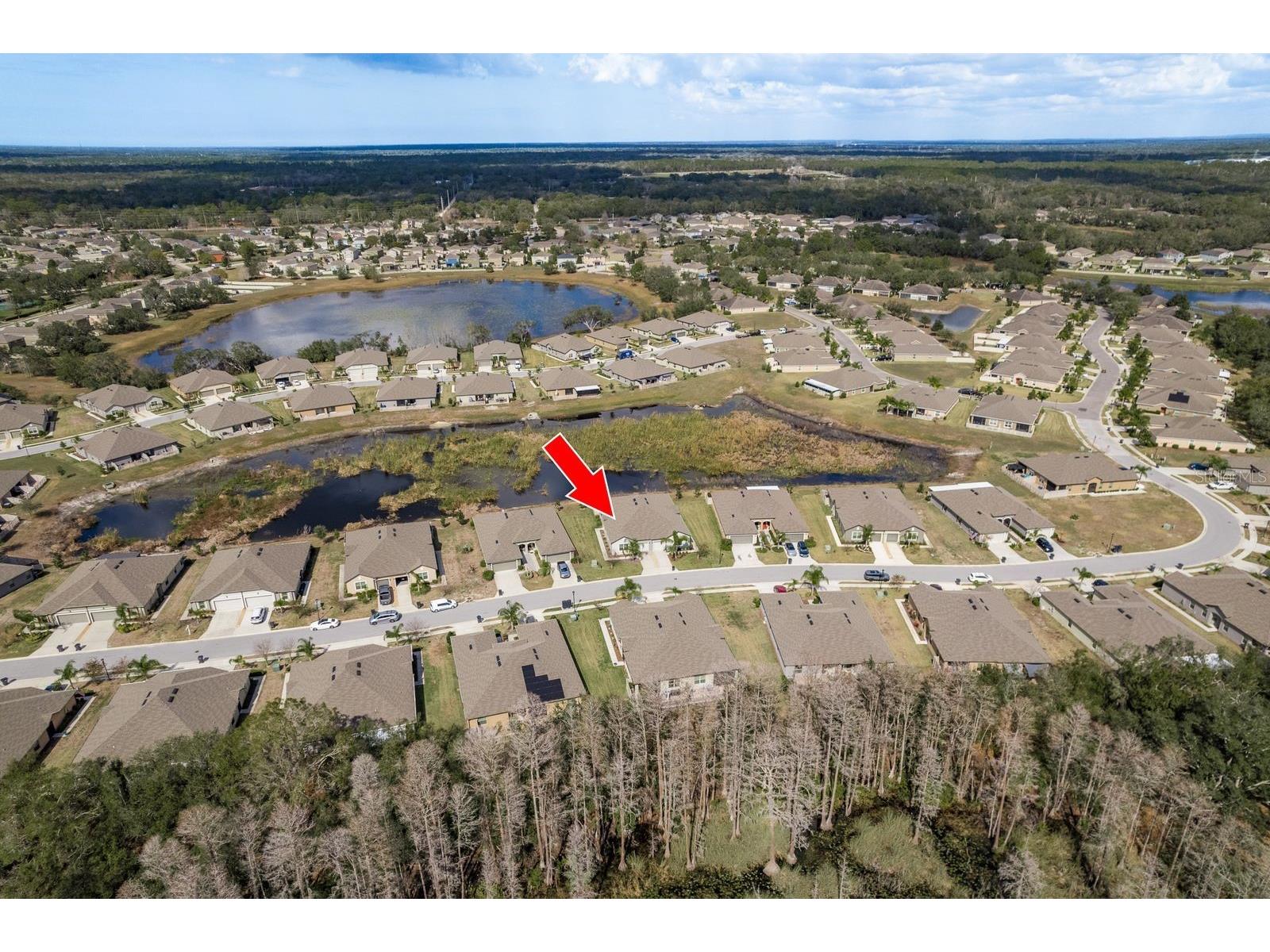 13387 Crest Lake Drive Hudson FL 34669 TB8345554 image4