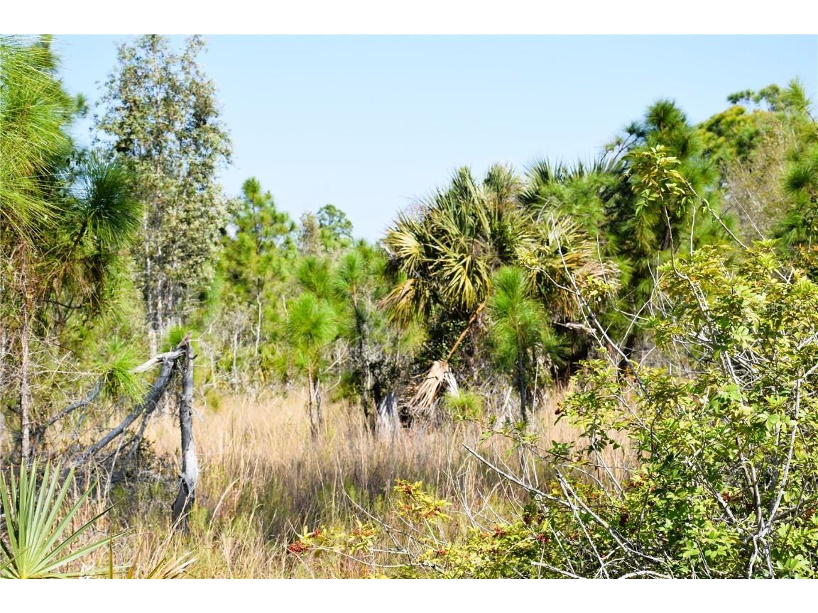 13389 Menorah Drive Punta Gorda FL 33955 C7488040 image1