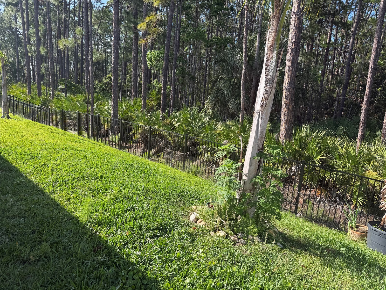 1339 Morning Walk Drive Ormond Beach FL 32174 FC317917 image8