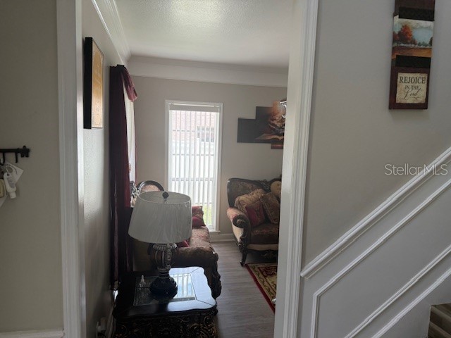 1339 Olympia Park Circle Ocoee FL 34761 O6364683 image7