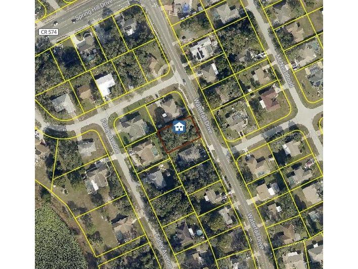 1339 Waterfall Drive Spring Hill FL 34608 W7873165 image1