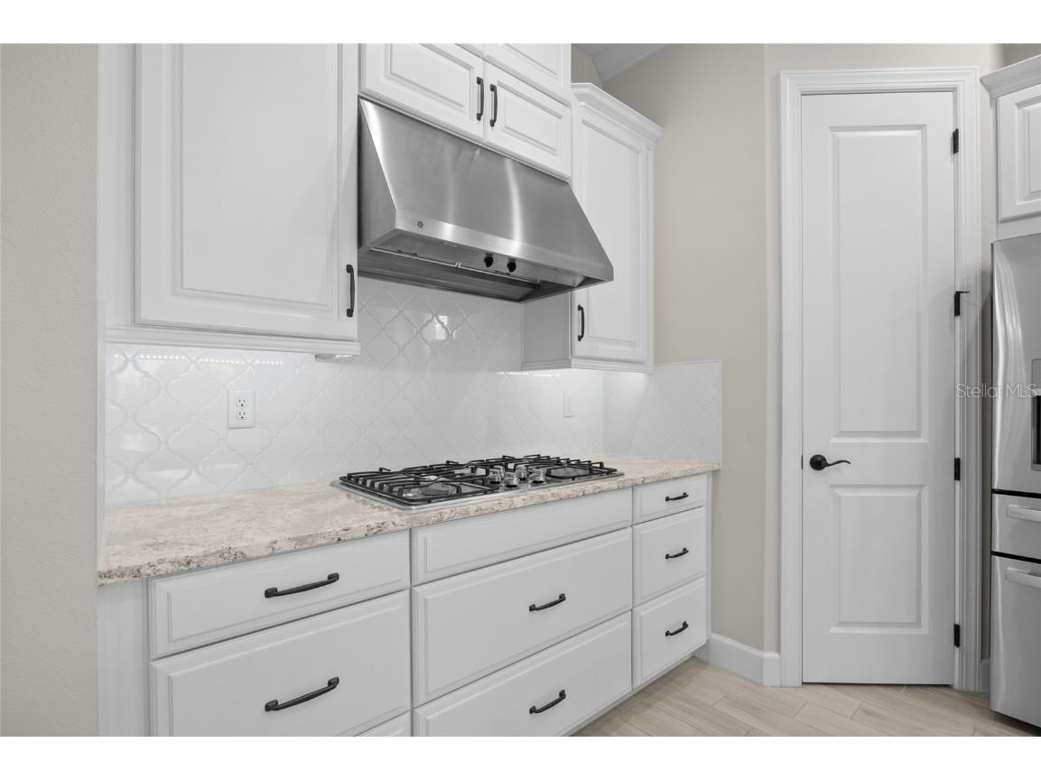 1339 Zeek Ridge Street Clermont FL 34715 G5099813 image16