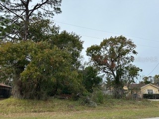 13390 Banyan Road Spring Hill FL 34609 W7860419 image1