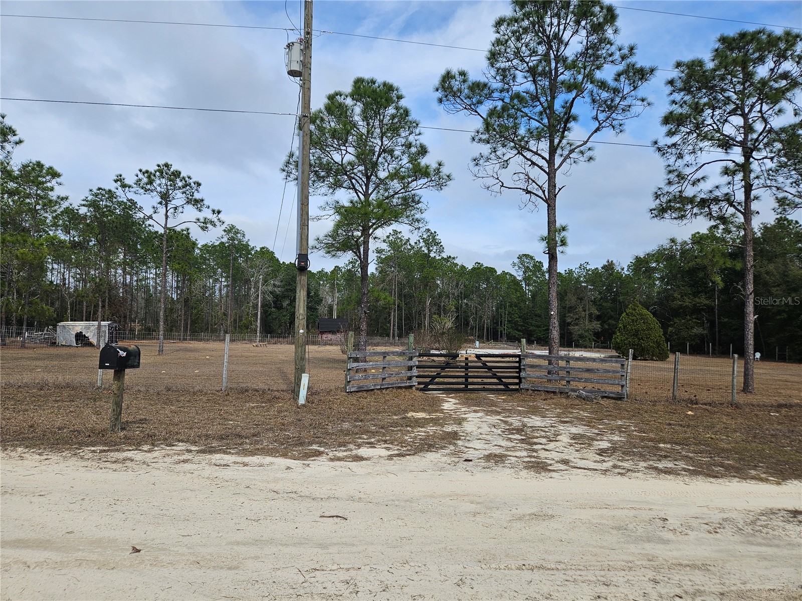 13391 NE 43rd Lane Williston FL 32696 OM717545 image1