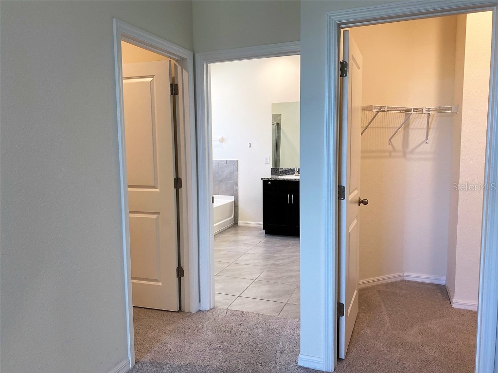 13393 Golden Lime Avenue Spring Hill FL 34609 A4642551 image17