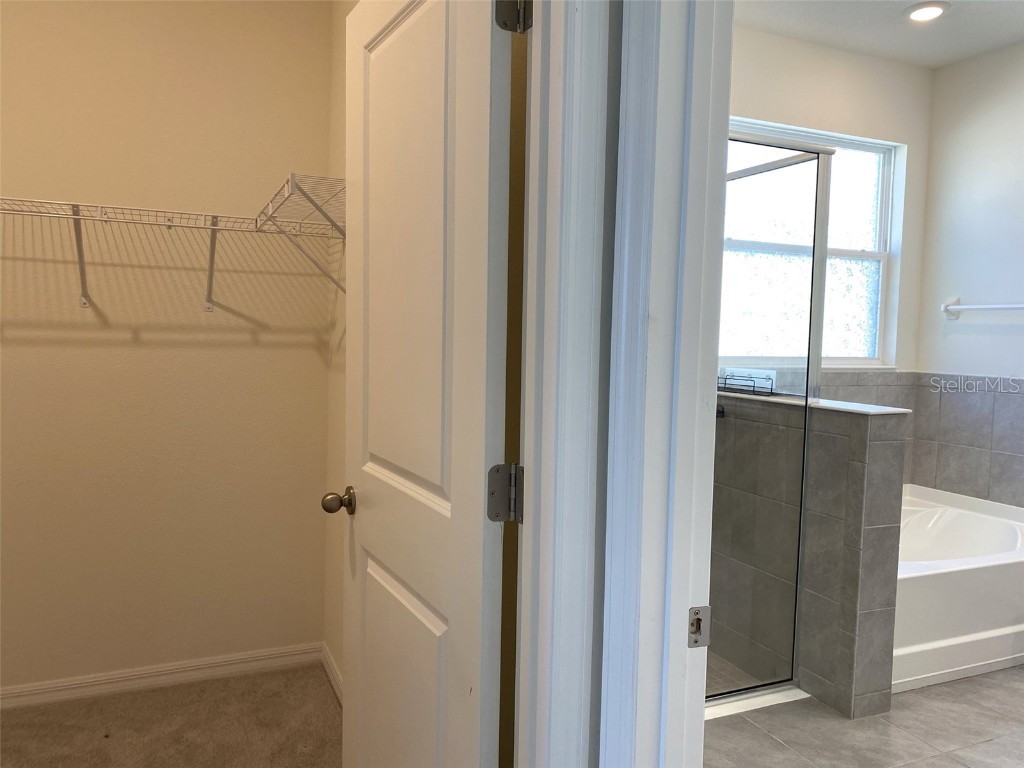 13393 Golden Lime Avenue Spring Hill FL 34609 A4642551 image20