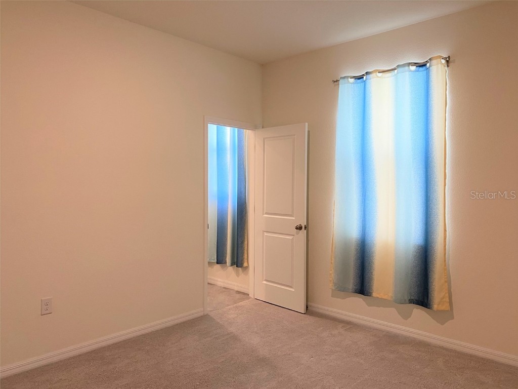 13393 Golden Lime Avenue Spring Hill FL 34609 A4642551 image24