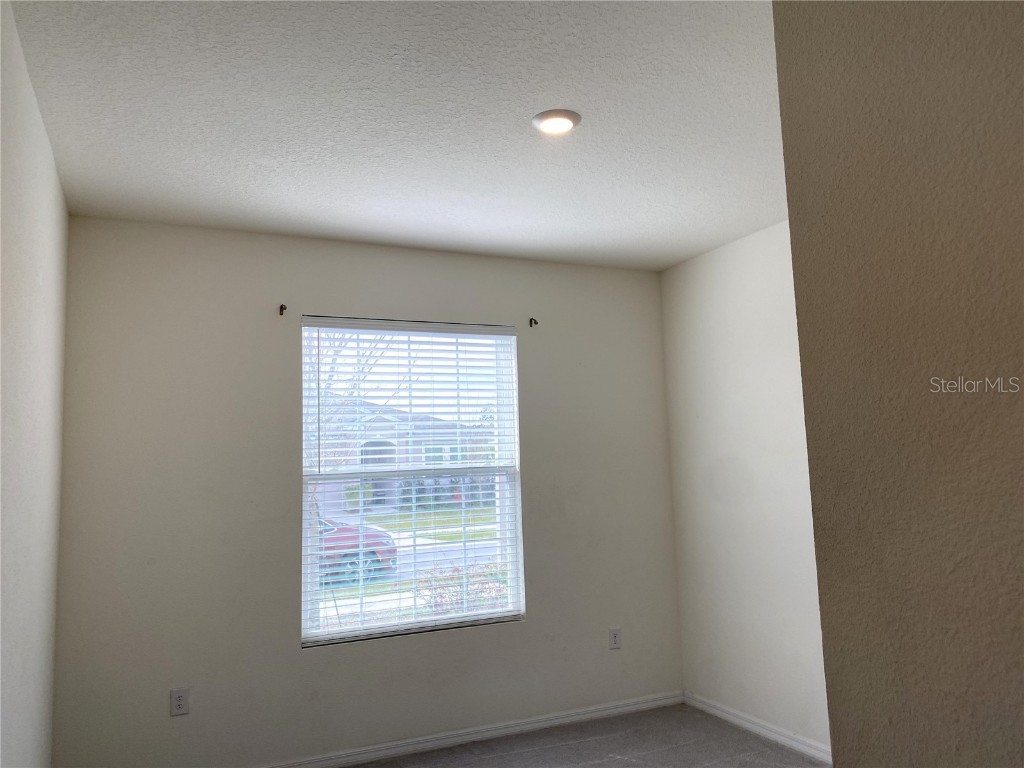 13393 Golden Lime Avenue Spring Hill FL 34609 A4642551 image29