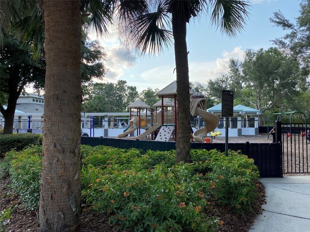 13393 Golden Lime Avenue Spring Hill FL 34609 A4642551 image41