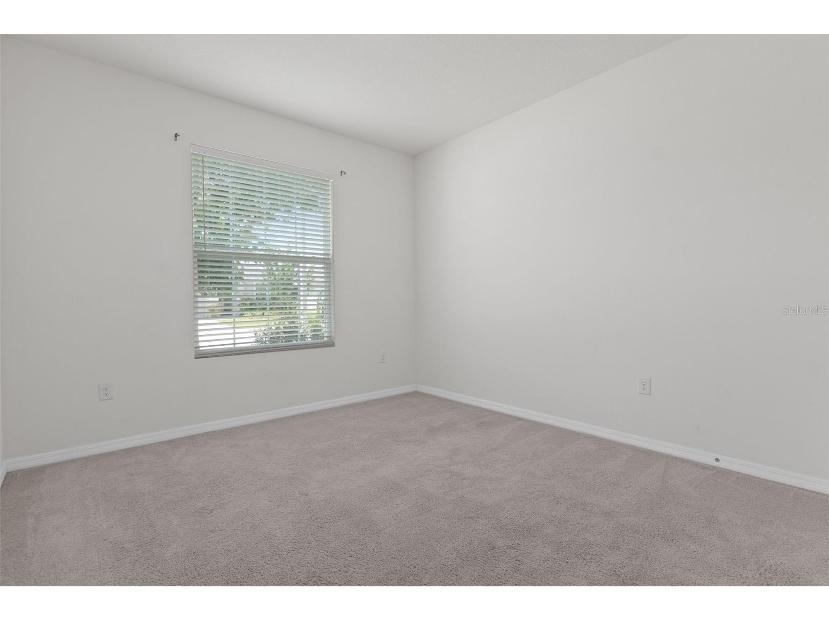 13393 Golden Lime Avenue Spring Hill FL 34609 W7886074 image19