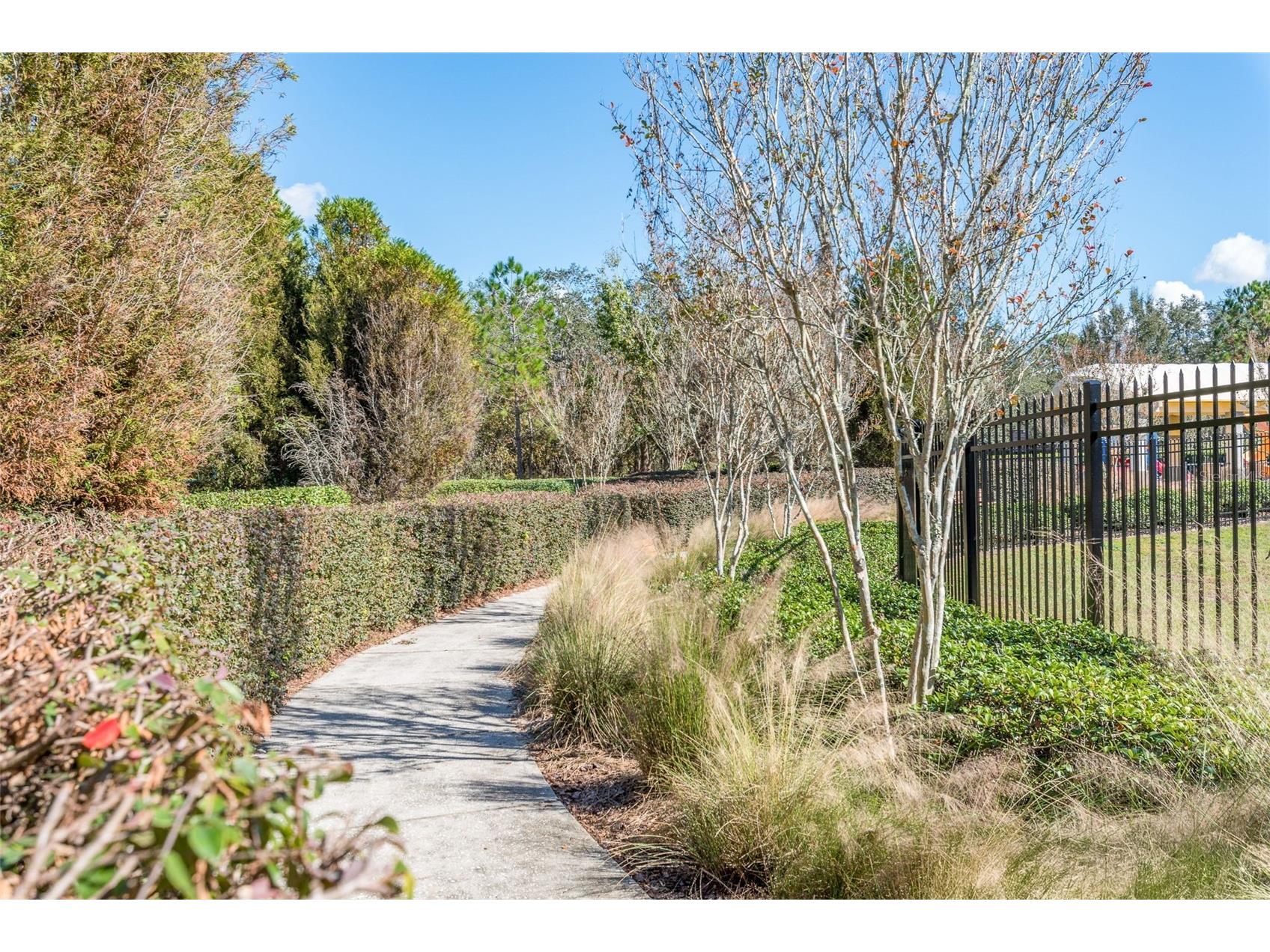 13393 Golden Lime Avenue Spring Hill FL 34609 W7886074 image42