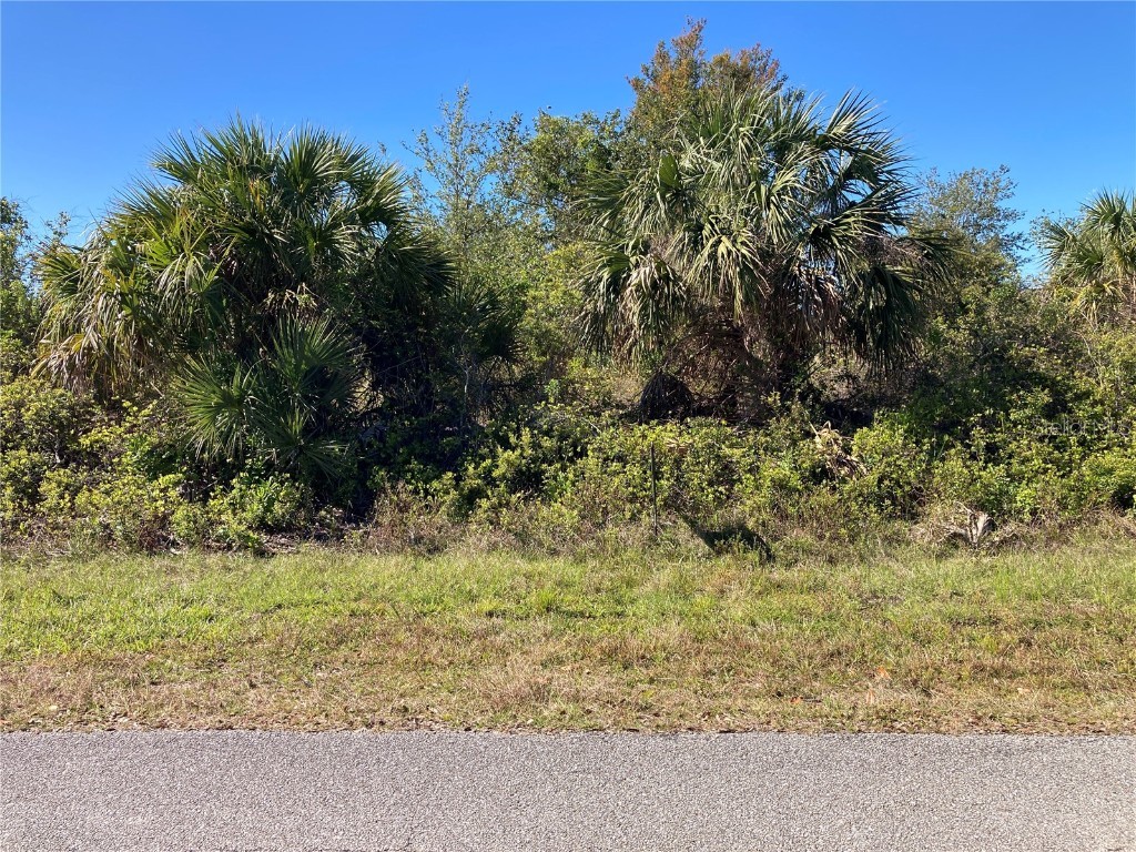 13395 Bouvardia Lane Port Charlotte FL 33981 C7516203 image1