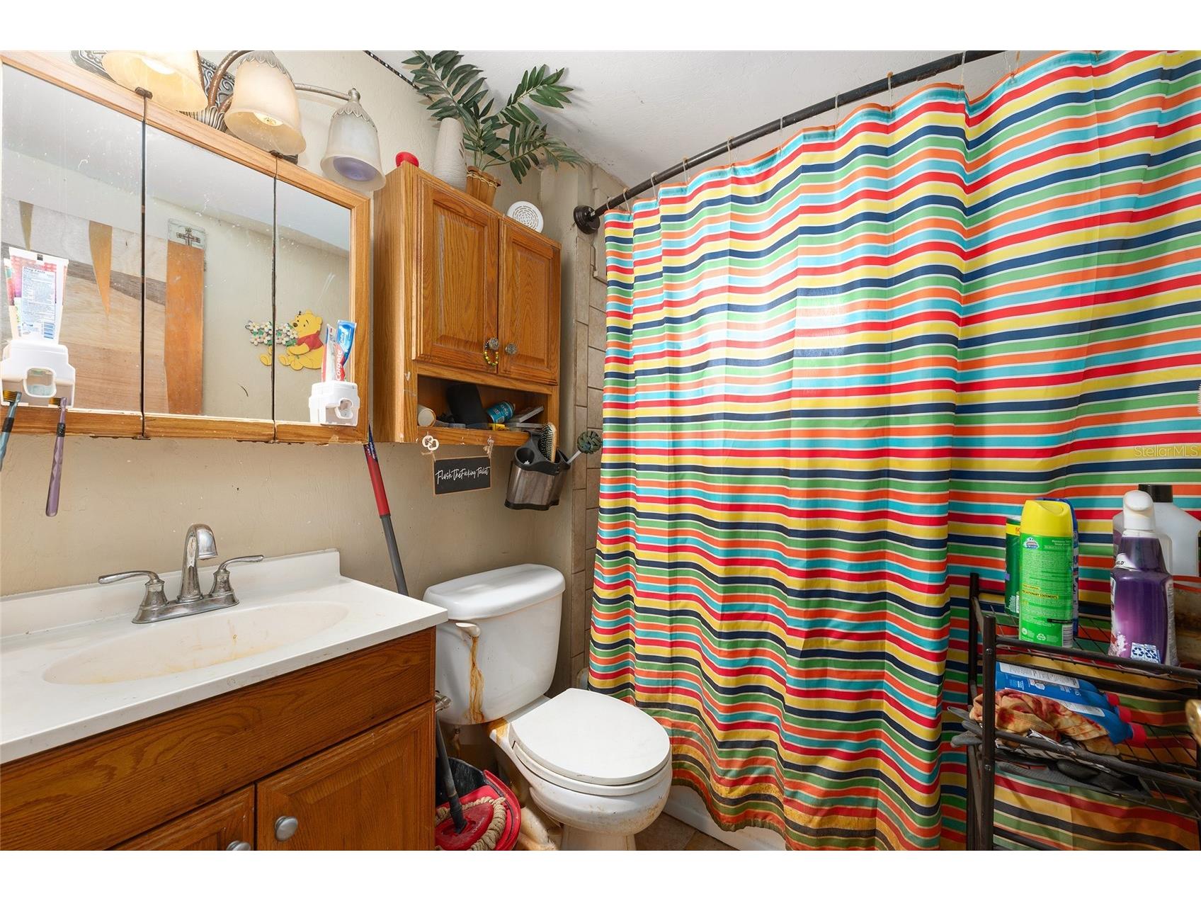 13395 SE 106th Avenue Ocklawaha FL 32179 O6407729 image23