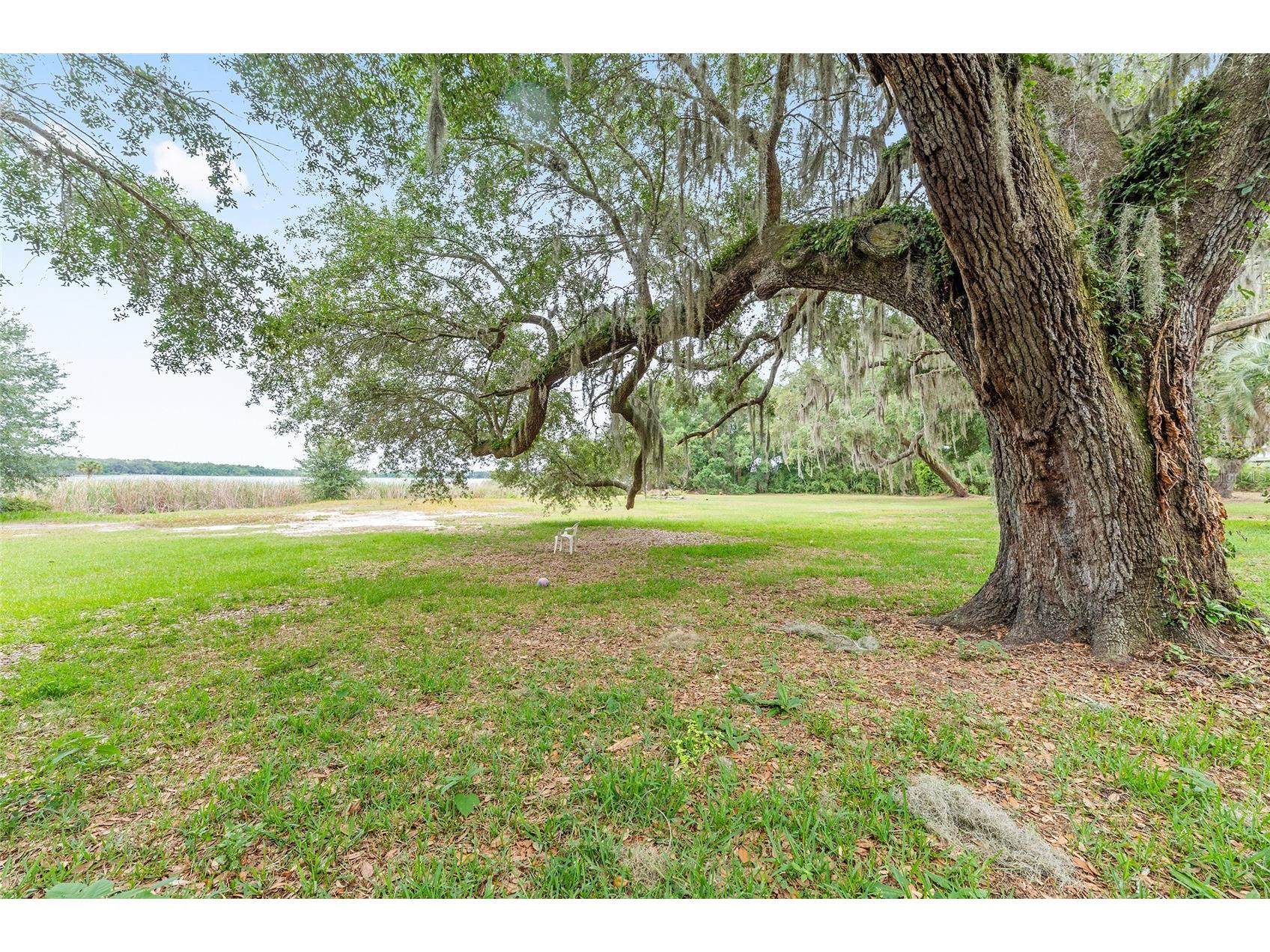 13395 SE 106th Avenue Ocklawaha FL 32179 O6407729 image42