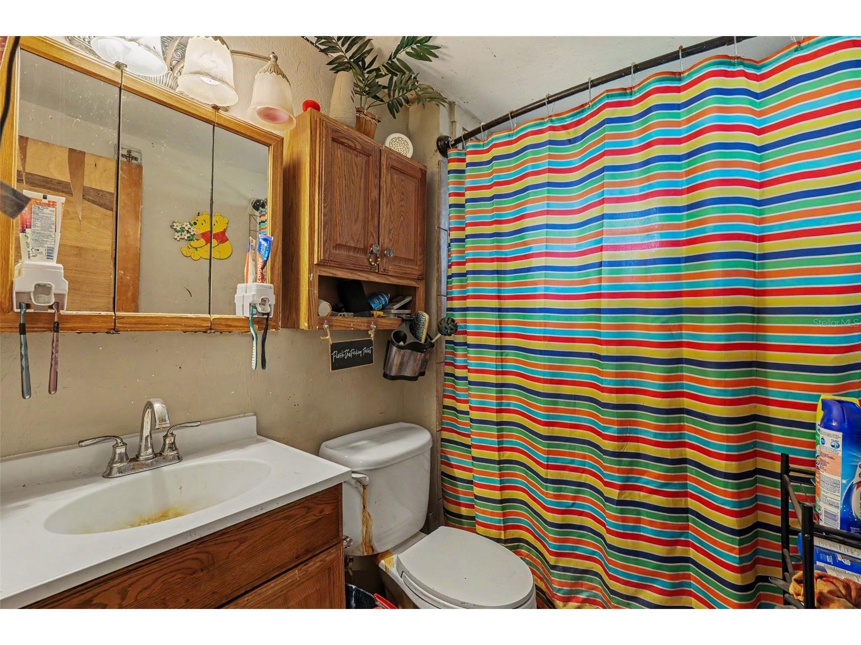 13395 SE 106th Avenue Ocklawaha FL 32179 - LITTLE LAKE WEIR O6422526 image19