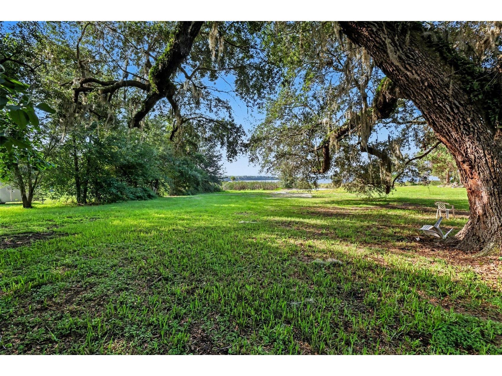 13395 SE 106th Avenue Ocklawaha FL 32179 - LITTLE LAKE WEIR O6422526 image22