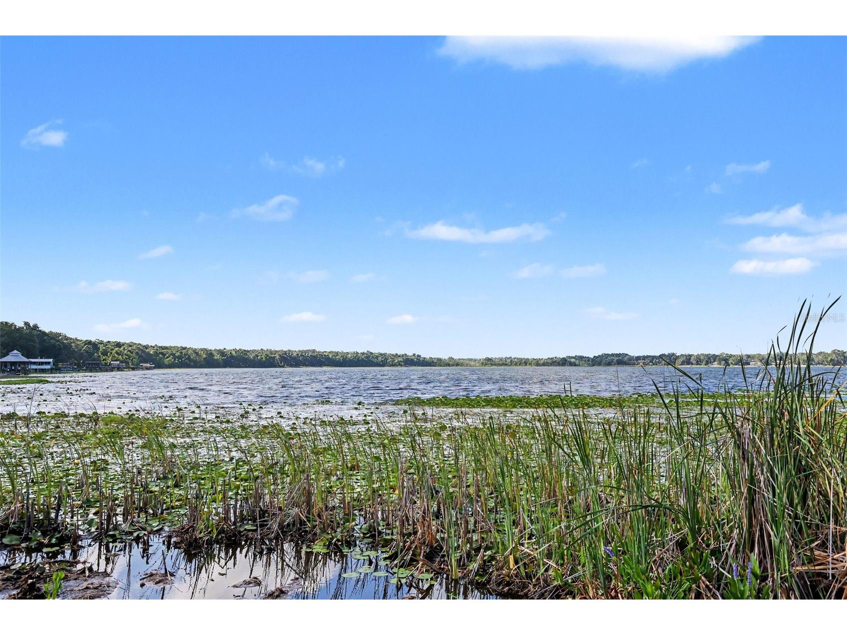 13395 SE 106th Avenue Ocklawaha FL 32179 - LITTLE LAKE WEIR O6422526 image29