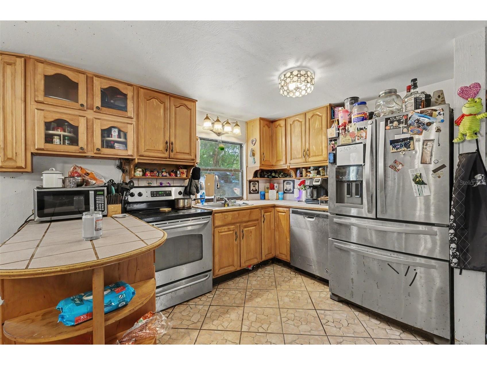 13395 SE 106th Avenue Ocklawaha FL 32179 - LITTLE LAKE WEIR O6422526 image9