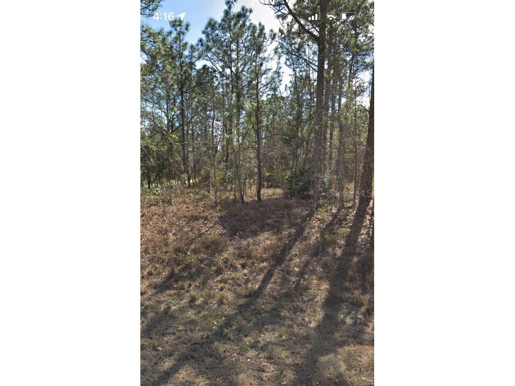 13398 Sooty Tern Avenue Weeki Wachee FL 34614 T3509726 image1