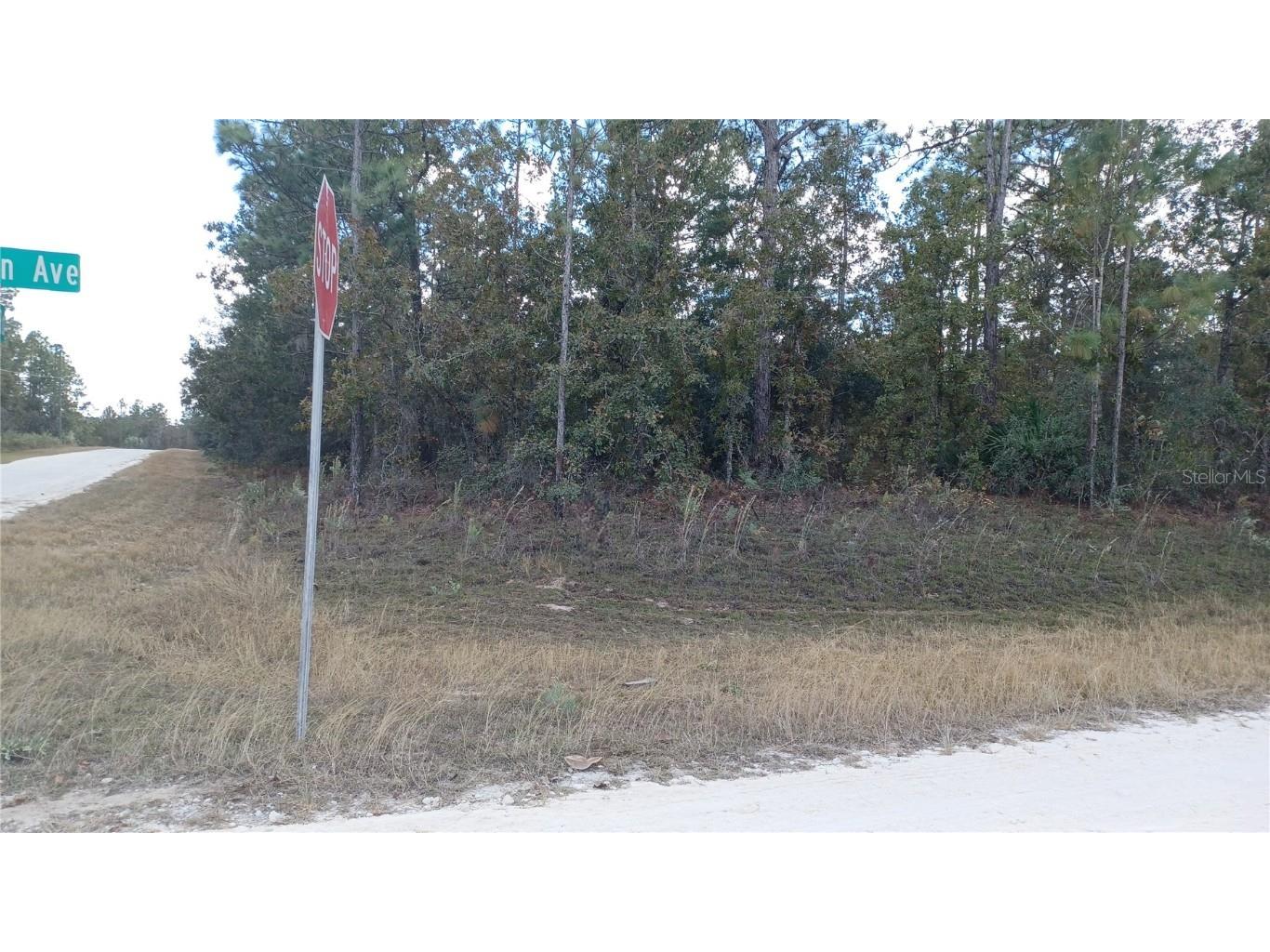 13398 Sooty Tern Avenue Weeki Wachee FL 34614 U8181040 image1