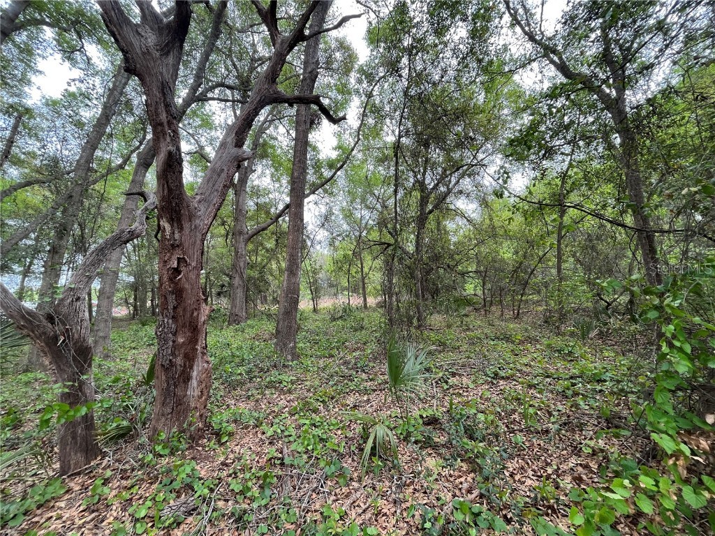 134 Ambrose Avenue Satsuma FL 32189 OK222570 image1