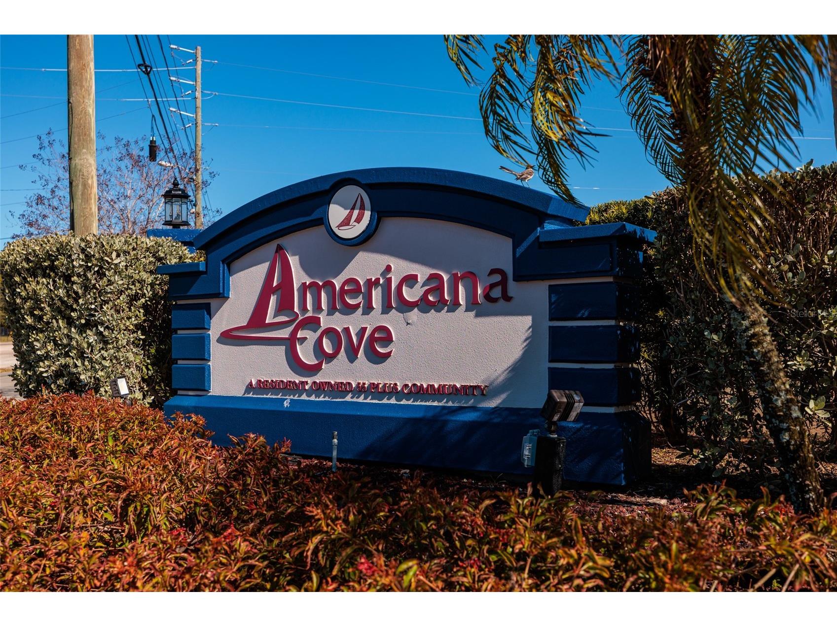 134 Americana Court NE #216 Saint Petersburg FL 33702 - TAMPA BAY TB8474949 image39