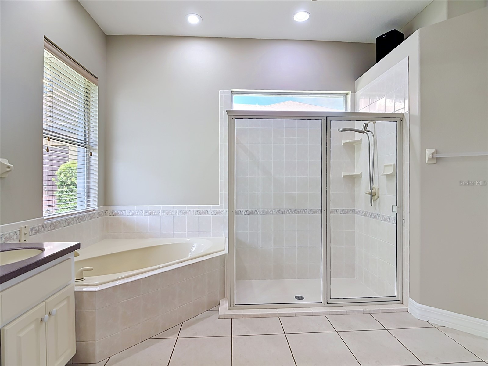 134 Bayberry Drive Polk City FL 33868 - LAKE AGNES TB8505039 image41