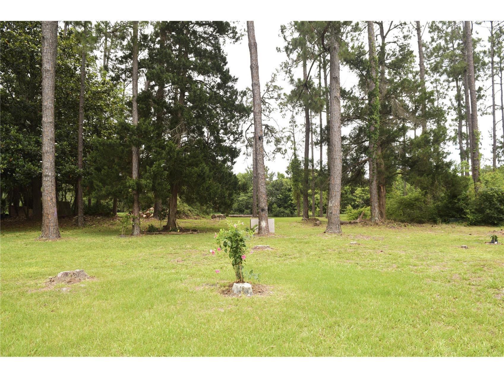 134 Beechwood Lane Palm Coast FL 32137 OM725537 image13