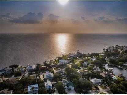 134 Carlyle Drive Palm Harbor FL 34683 - GULF OF MEXICO U8212511 image1