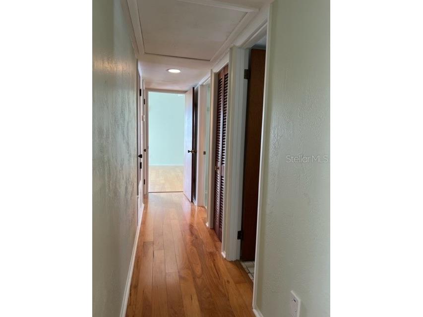 134 Carlyle Drive Palm Harbor FL 34683 - GULF OF MEXICO U8212511 image29