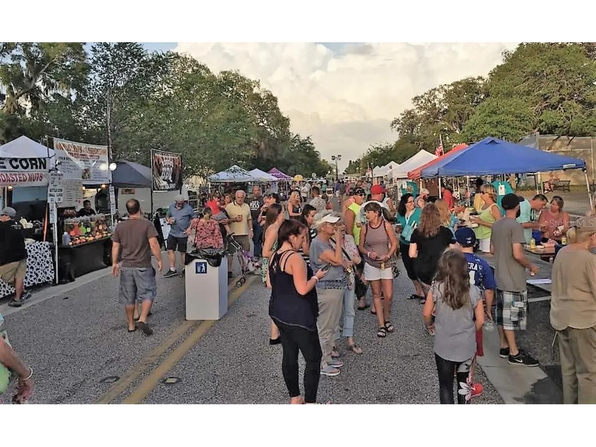 134 Carlyle Drive Palm Harbor FL 34683 - GULF OF MEXICO U8212511 image40