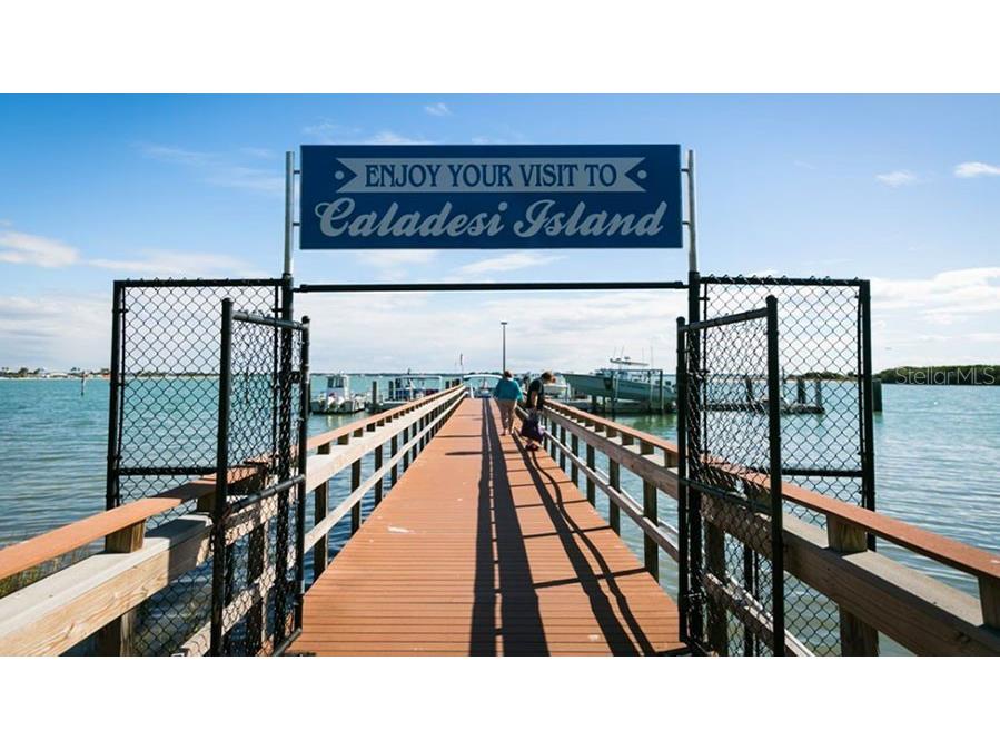 134 Carlyle Drive Palm Harbor FL 34683 - GULF OF MEXICO U8212511 image41