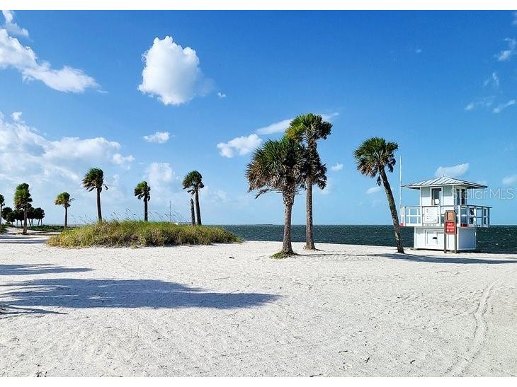 134 Carlyle Drive Palm Harbor FL 34683 - GULF OF MEXICO U8212511 image42