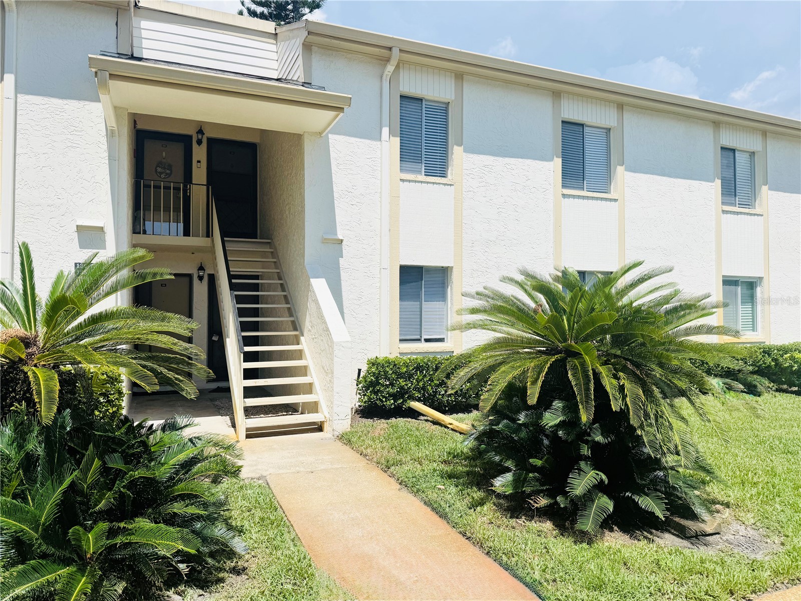 134 Cypress Court Oldsmar FL 34677 TB8523220 image1