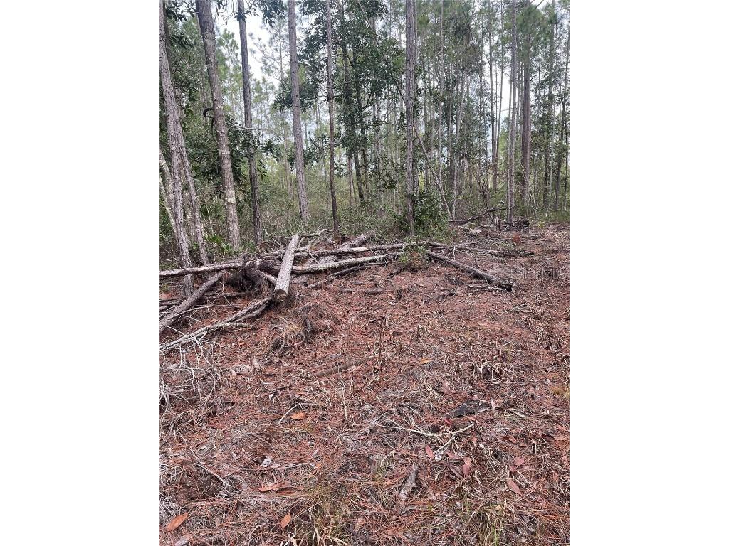 134 E Dixie Street Palatka FL 32177 A4642273 image1