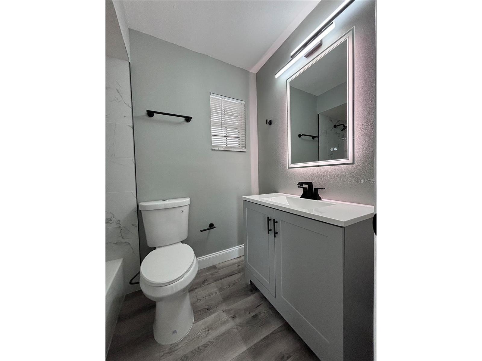 134 Pansy Court Kissimmee FL 34743 O6413029 image12