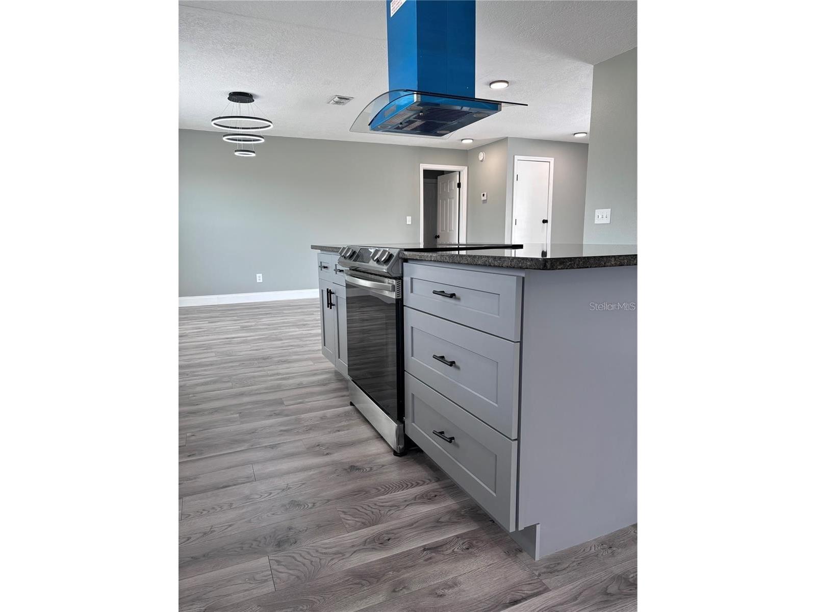 134 Pansy Court Kissimmee FL 34743 O6413029 image4